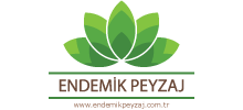 Endemik Peyzaj - Dikey Bahçe ve Tüm Peyzaj İşlemleri