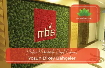 Yosun Dikey Bahçeler