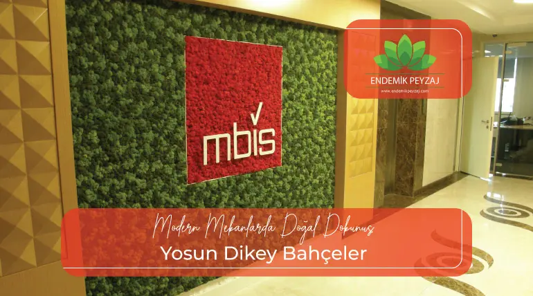 Yosun Dikey Bahçeler