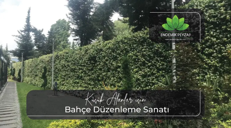 Bahçe Düzenleme Sanatı